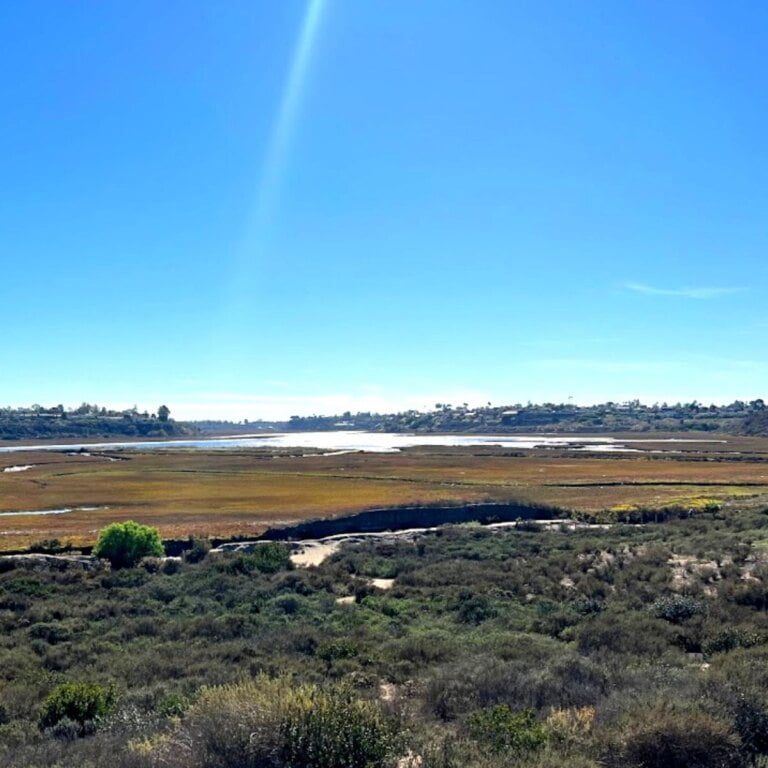 Upper Newport Bay Nature Preserve