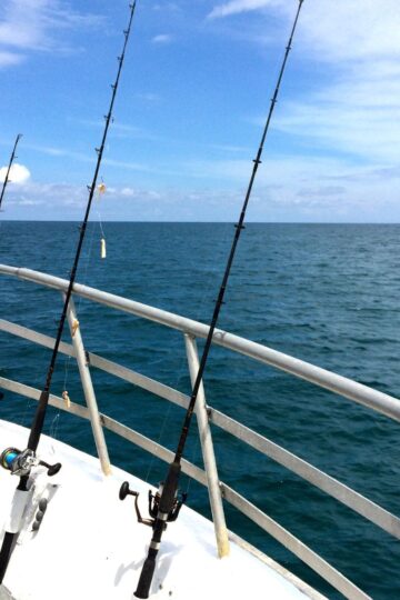 California Open Fishing Seasons