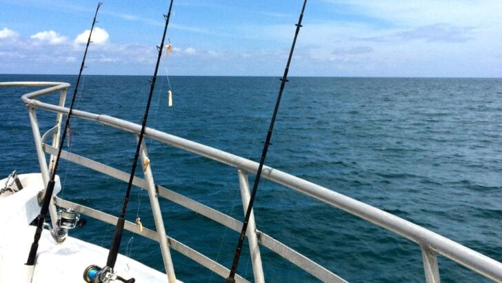 California Open Fishing Seasons