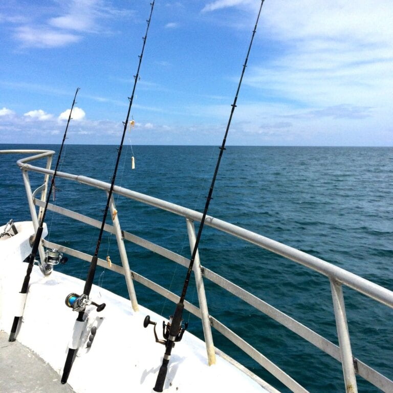 California Open Fishing Seasons