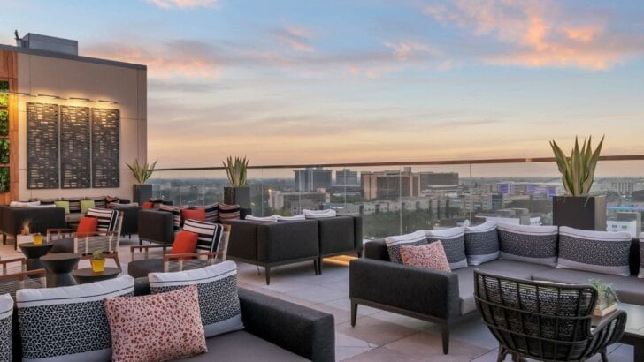 Best Rooftop Bars & Restaurants