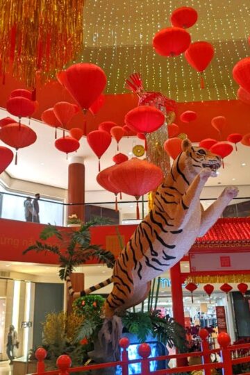 Lunar New Year Events