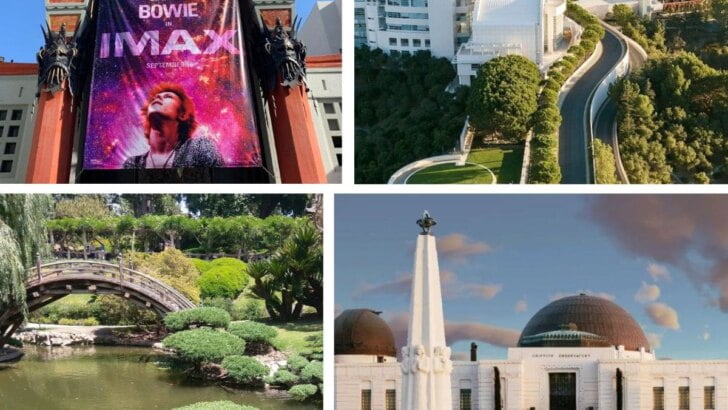 Best Things To Do In Los Angeles