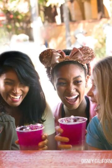 Disney California Adventure Food & Wine Festival
