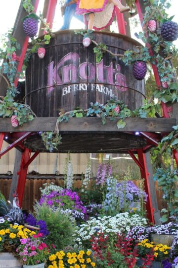 Knott's Boysenberry Festival