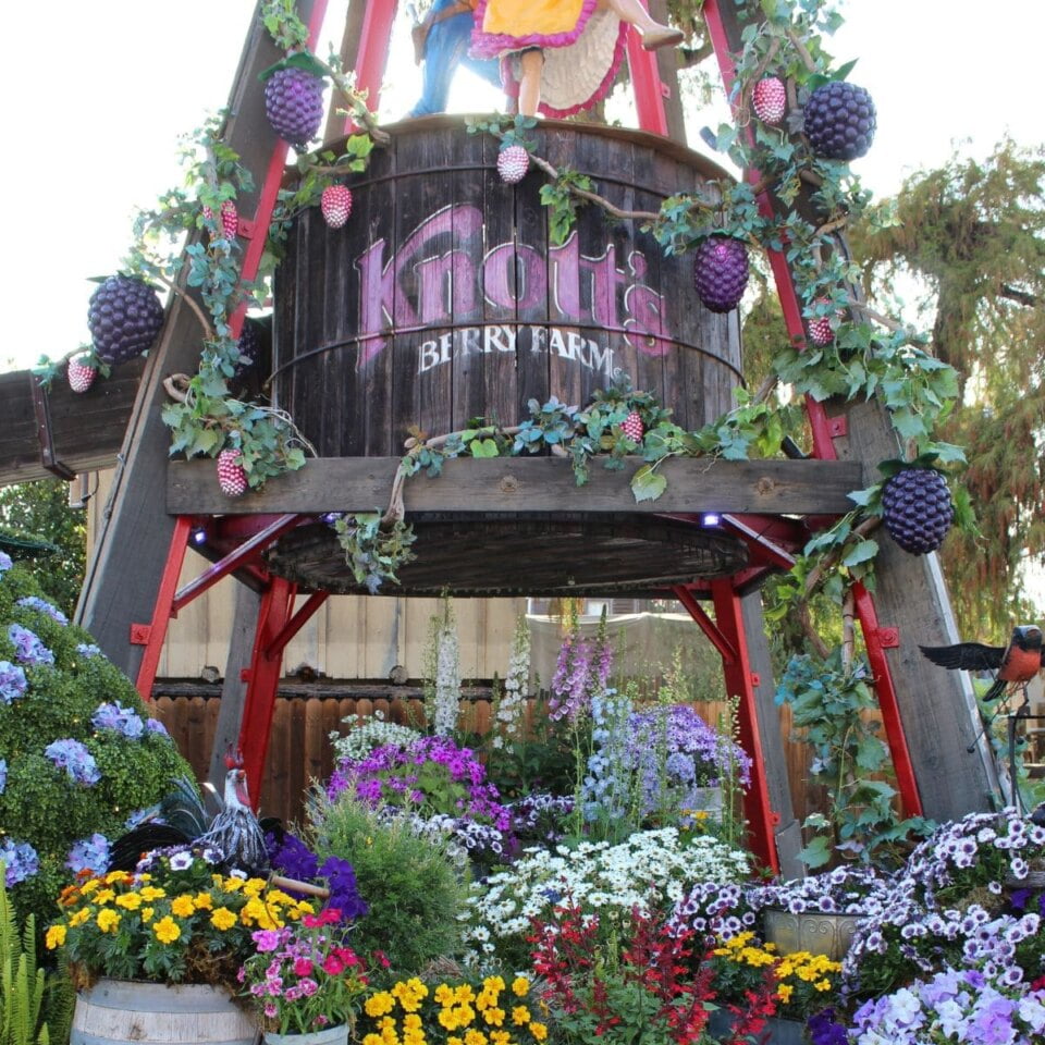 Knott’s Boysenberry Festival 2025 Enjoy OC