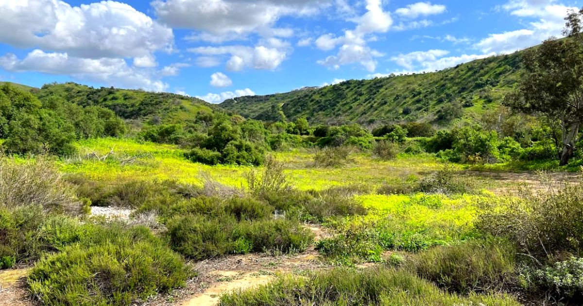 Chino Hills State Park Enjoy OC