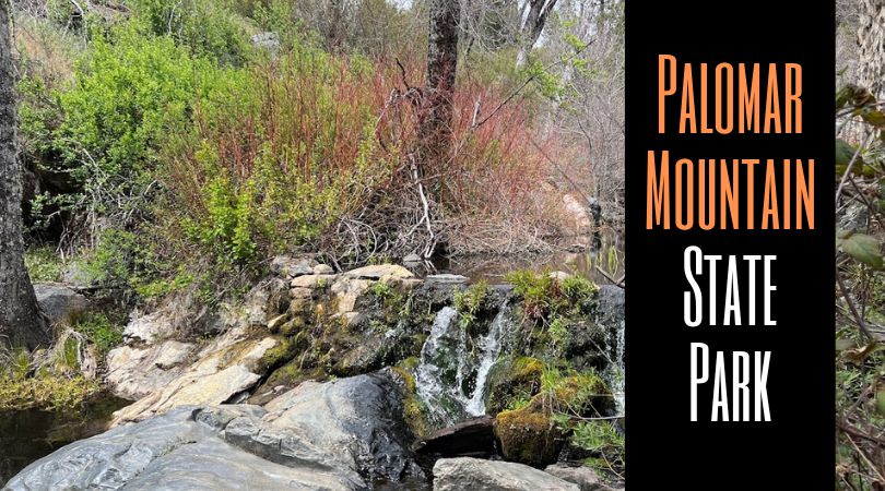 Palomar Mountain State Park