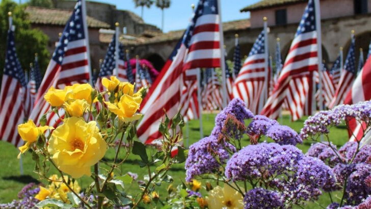 Memorial Day Activities & Things To Do