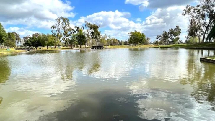 Tri City Regional Park
