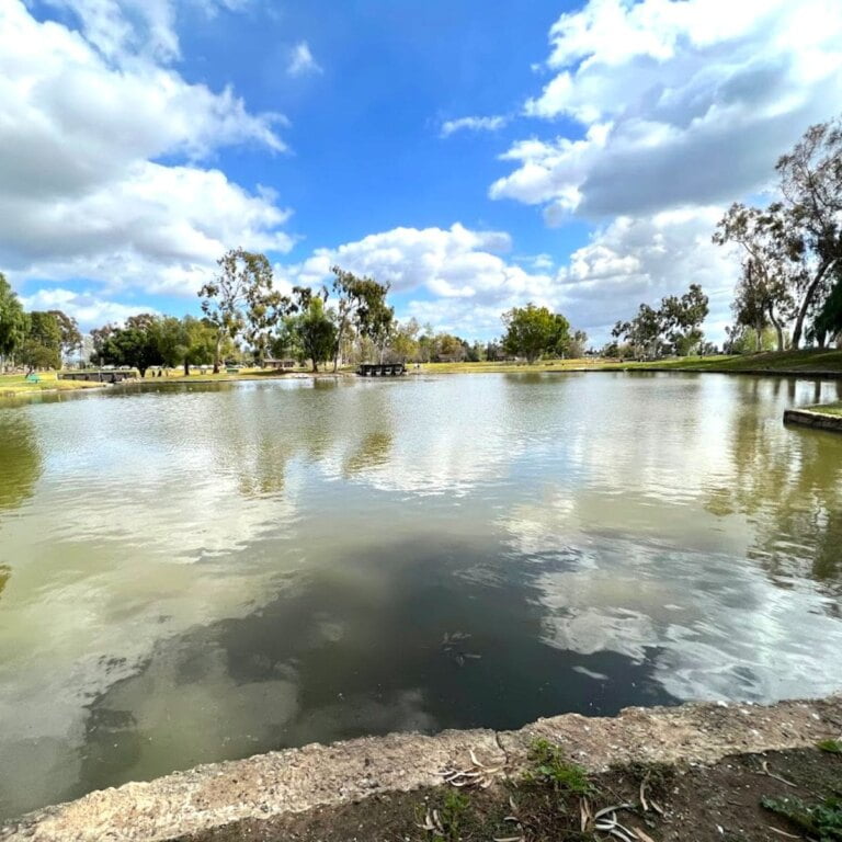 Tri City Regional Park
