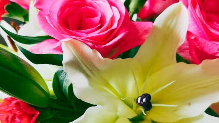 Mother's Day