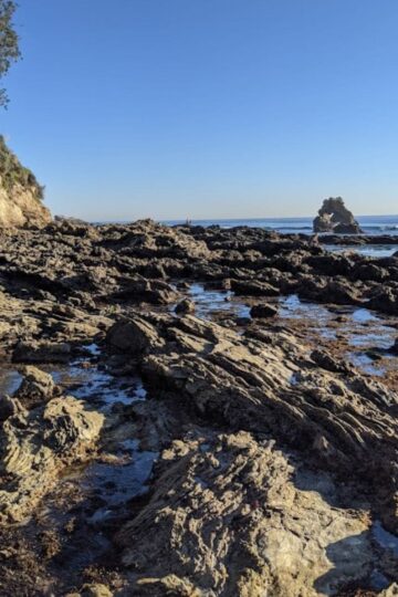 Family Friendly Tide Pools In Orange County