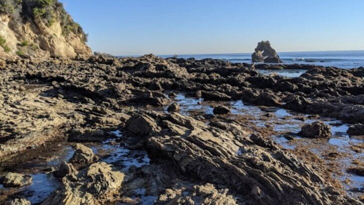 Family Friendly Tide Pools In Orange County