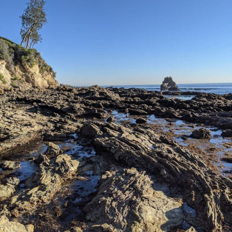 Family Friendly Tide Pools In Orange County