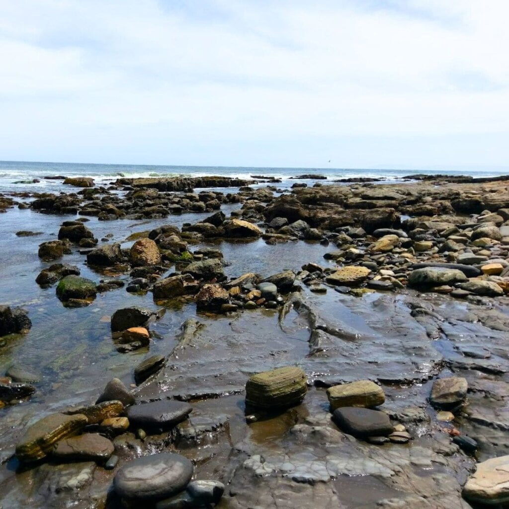 White Point Tide Pools