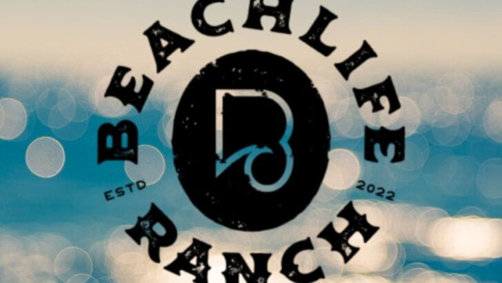 Beachlife Ranch Festival Redondo Beach