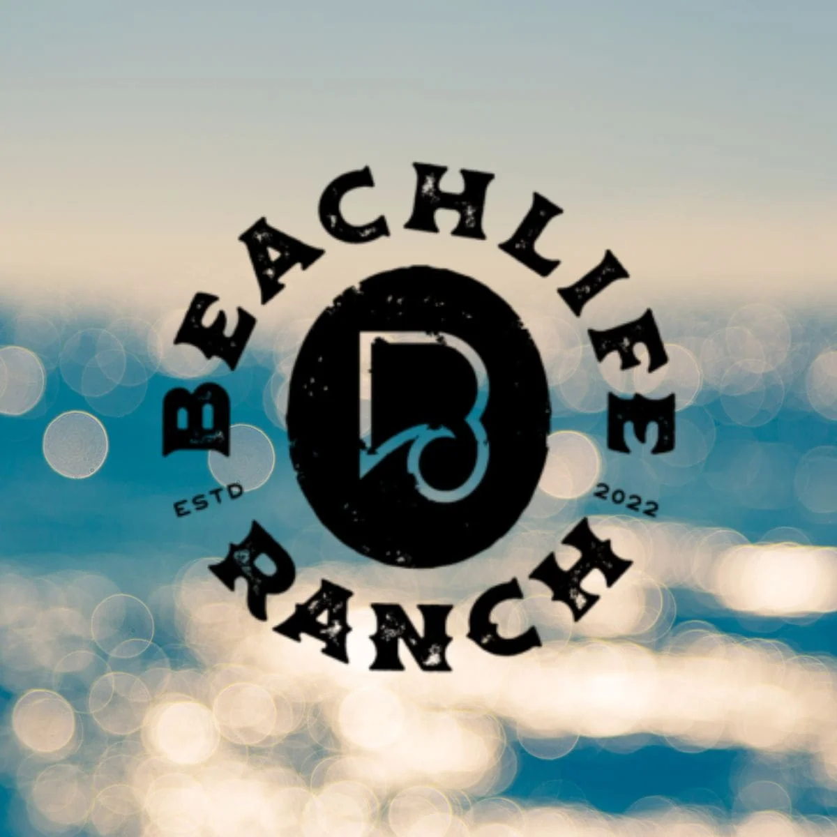 Beachlife Ranch Festival Redondo Beach