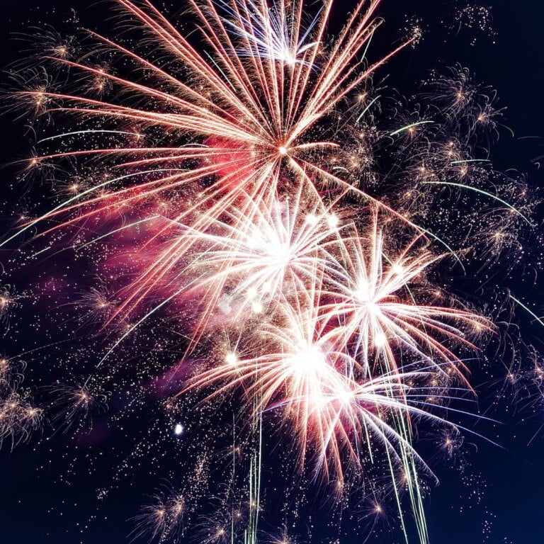 Santa Ana Independence Day Celebration