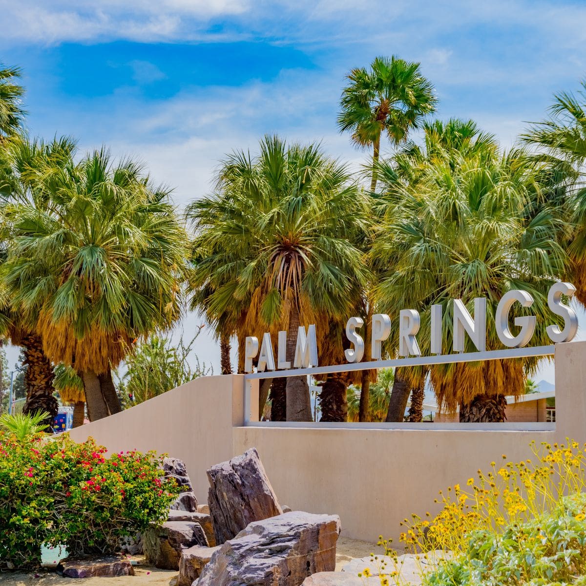 Things To Do In Palm Springs