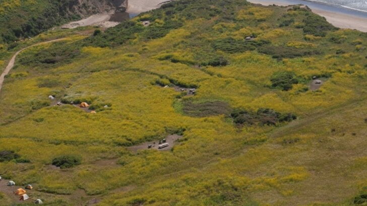Beach Camping In California