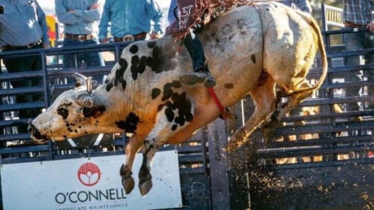 Rancho Mission Viejo Rodeo