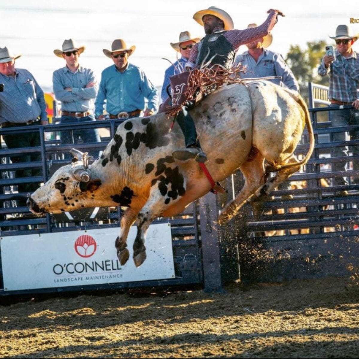 Rancho Mission Viejo Rodeo