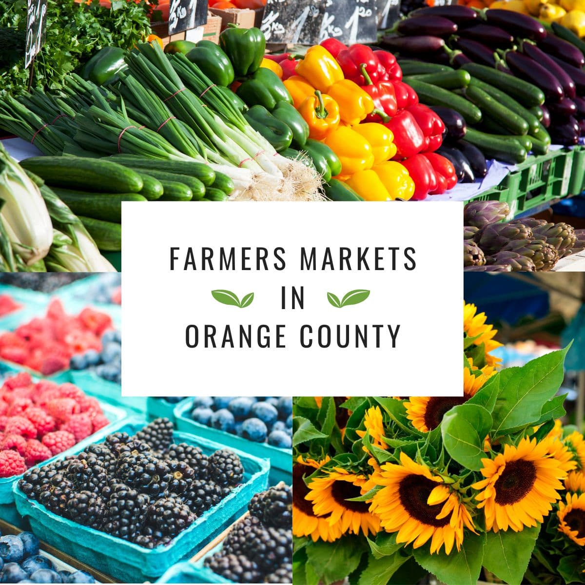Orange County Farmers Markets