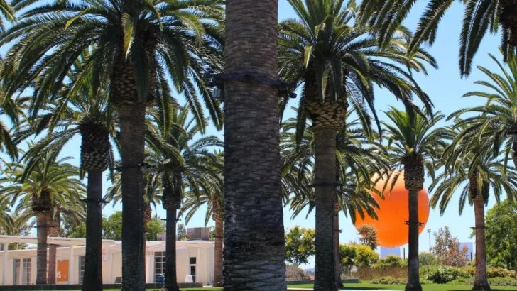 Free Things To Do In Orange County