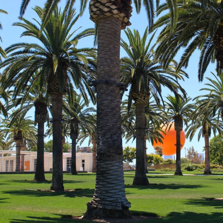 Free Things To Do In Orange County