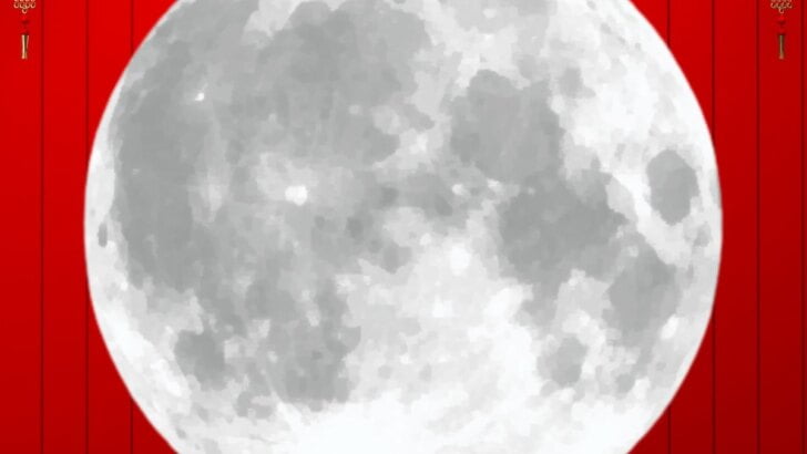 OC Moon Festival
