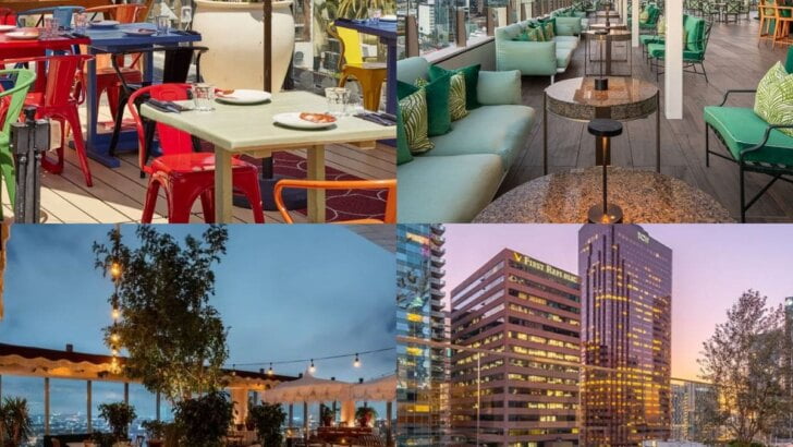Rooftop Bars And Restaurants In Los Angeles