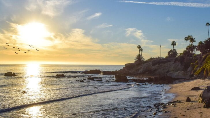 Sunset Serenades Laguna Beach
