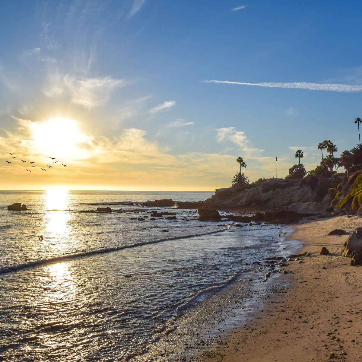Sunset Serenades Laguna Beach