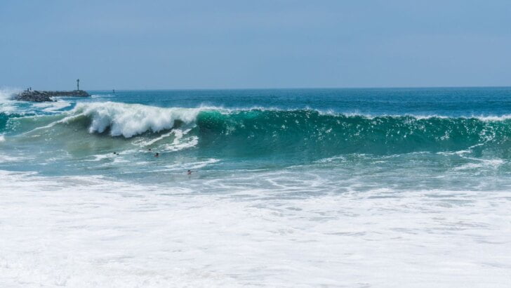 The Wedge