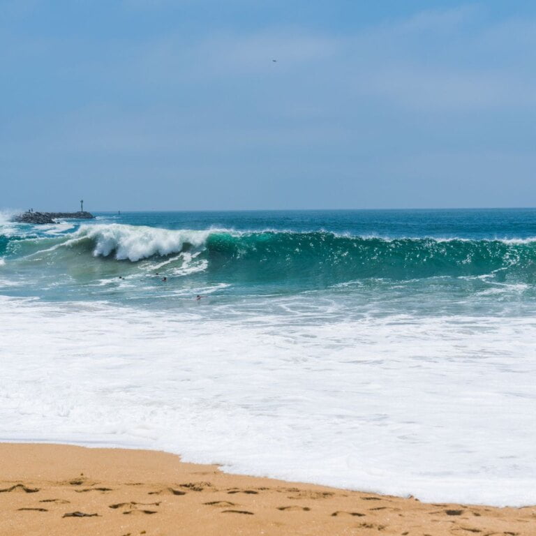 The Wedge