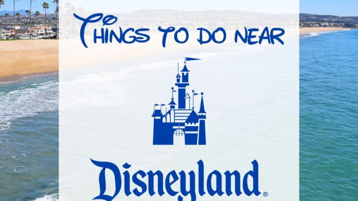 Things To Do Near Disneyland