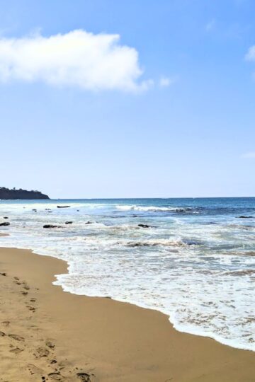 California Coastal Cleanup Day
