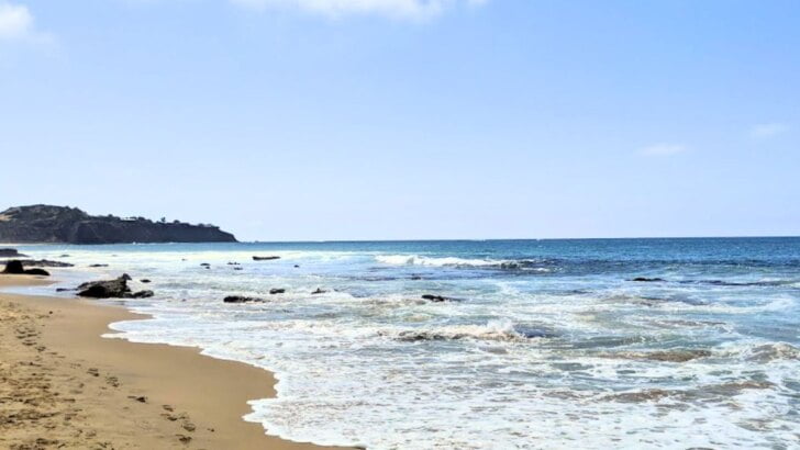 California Coastal Cleanup Day