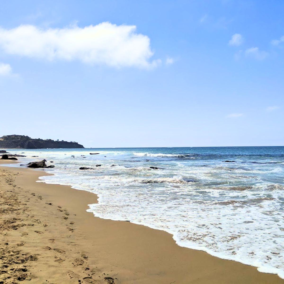 California Coastal Cleanup Day