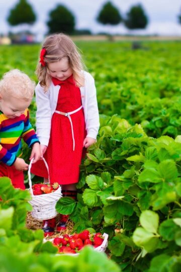 Best Family Friendly Farms To Visit