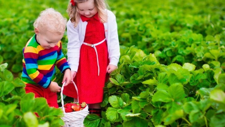 Best Family Friendly Farms To Visit