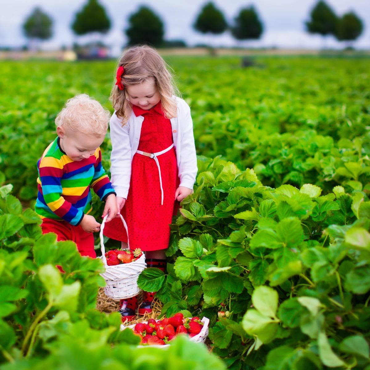 Best Family Friendly Farms To Visit