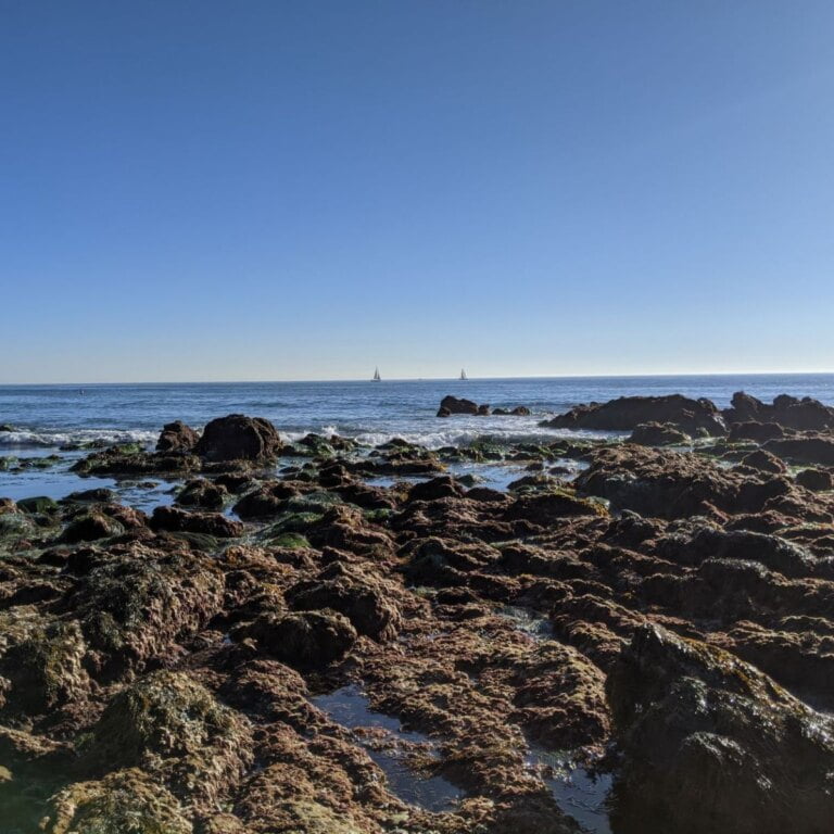 Best Tidepools In Orange County