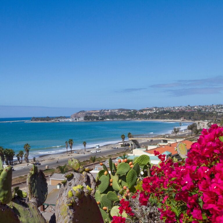 Doheny State Beach