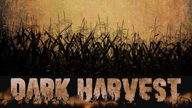 Dark Harvest Haunted Attraction