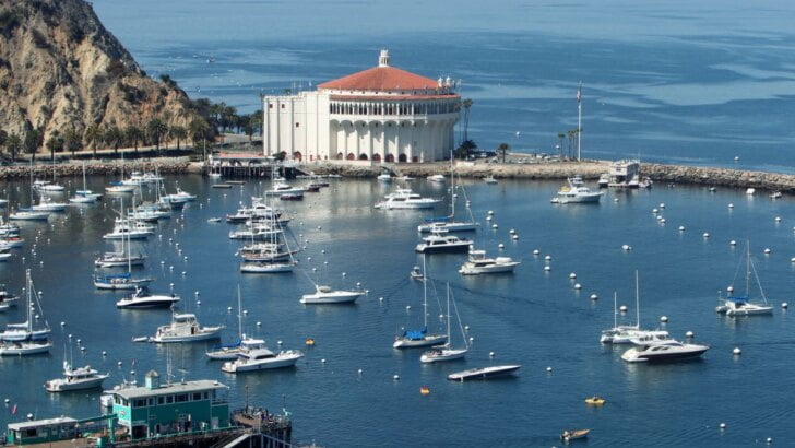 Guide To Catalina Island