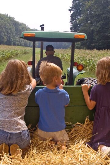 Hayrides In OC & Beyond