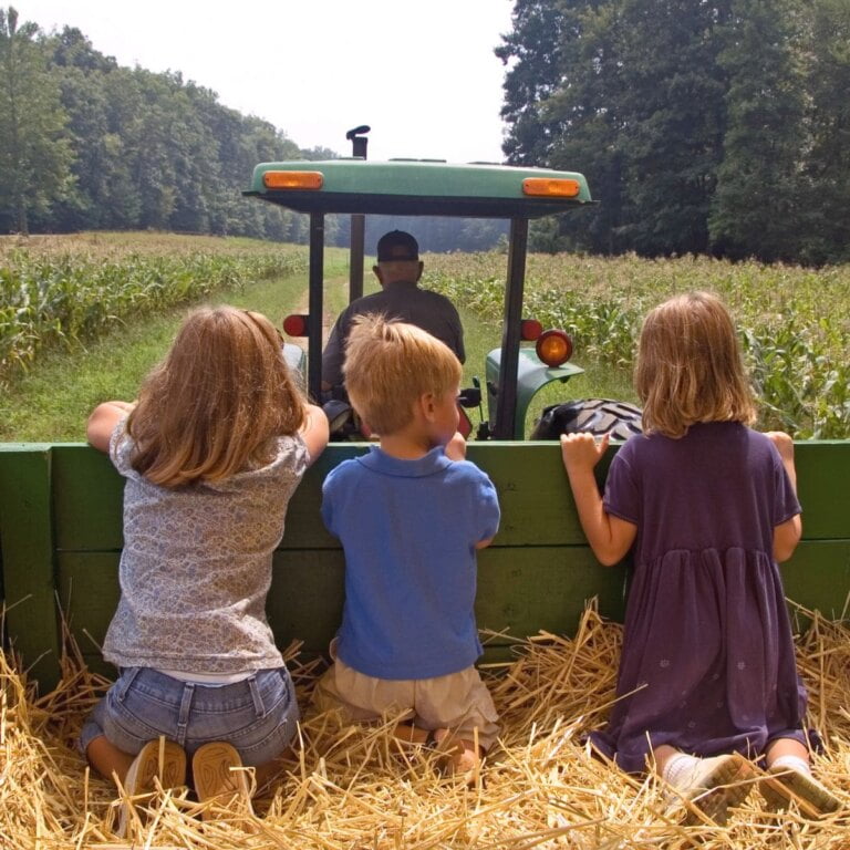 Hayrides In OC & Beyond