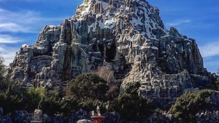 Disneyland Rides